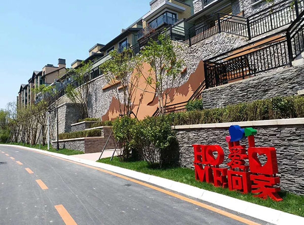 惠(hui)斯勒項目